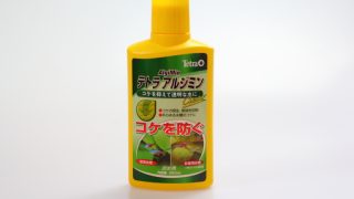 テトラ　アルジミン　クリア